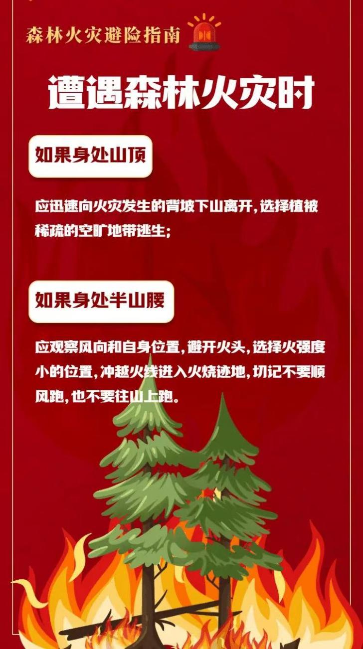 正在上传... 正在上传...