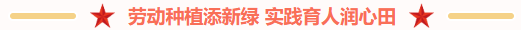 1764512277105772.png image.png