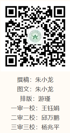 1766736779565007.png image.png